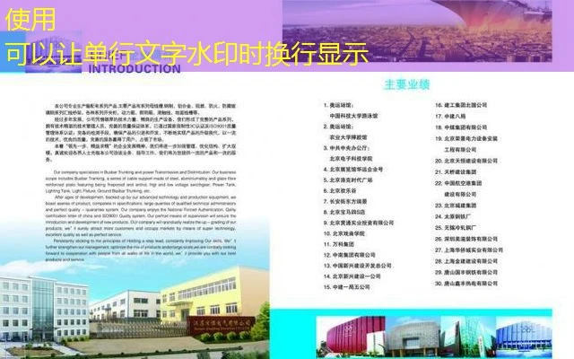 蓝图招商代理优势：助力企业腾飞的全方位服务