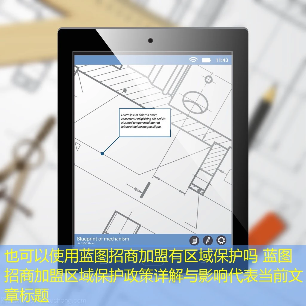 蓝图招商加盟有区域保护吗 蓝图招商加盟区域保护政策详解与影响