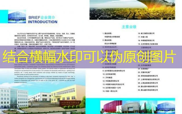 蓝图招商代理优势:助力企业腾飞的全方位服务