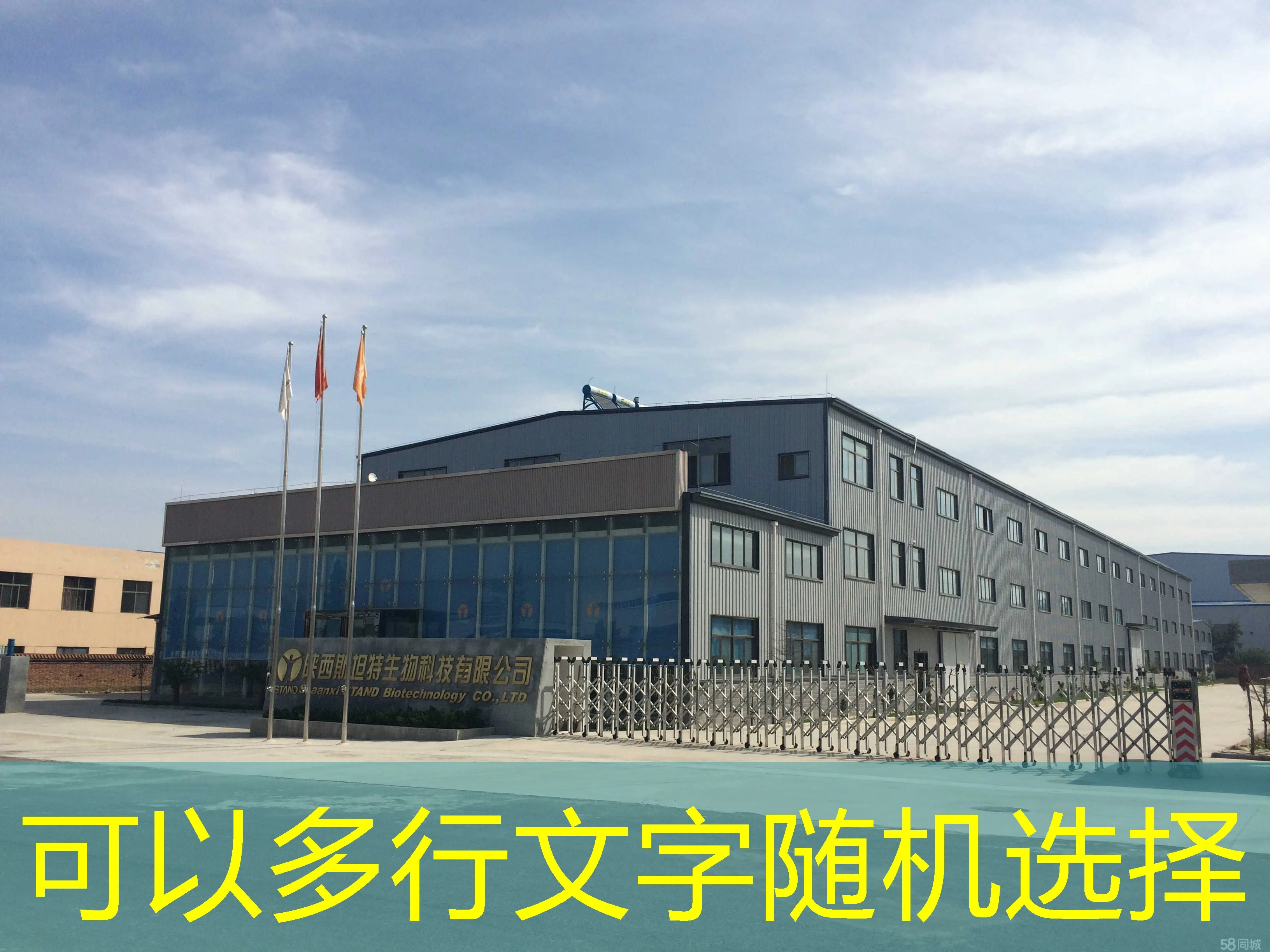 招商加盟利润空间详解：盈利蓝图与规划