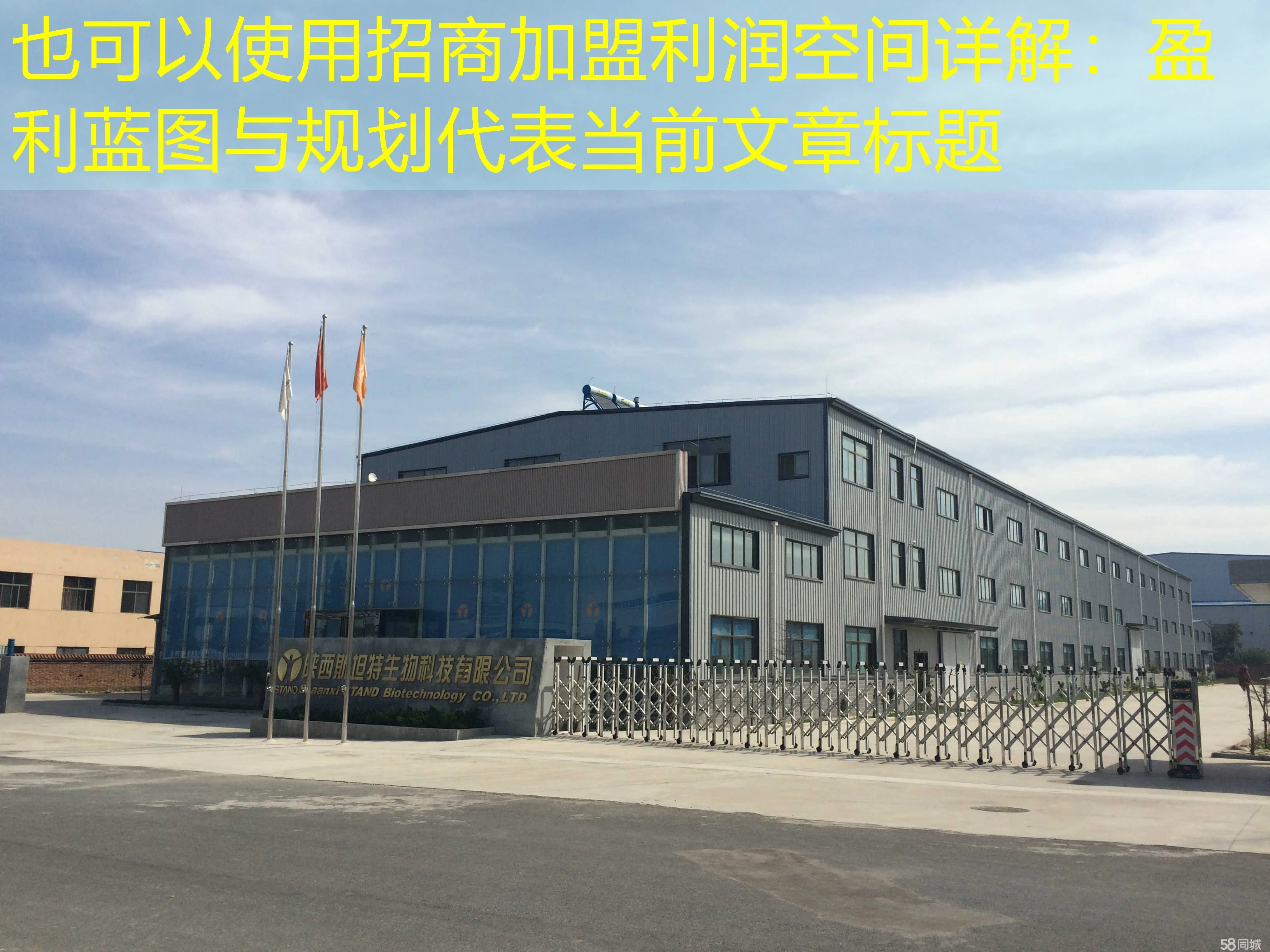 招商加盟利润空间详解：盈利蓝图与规划