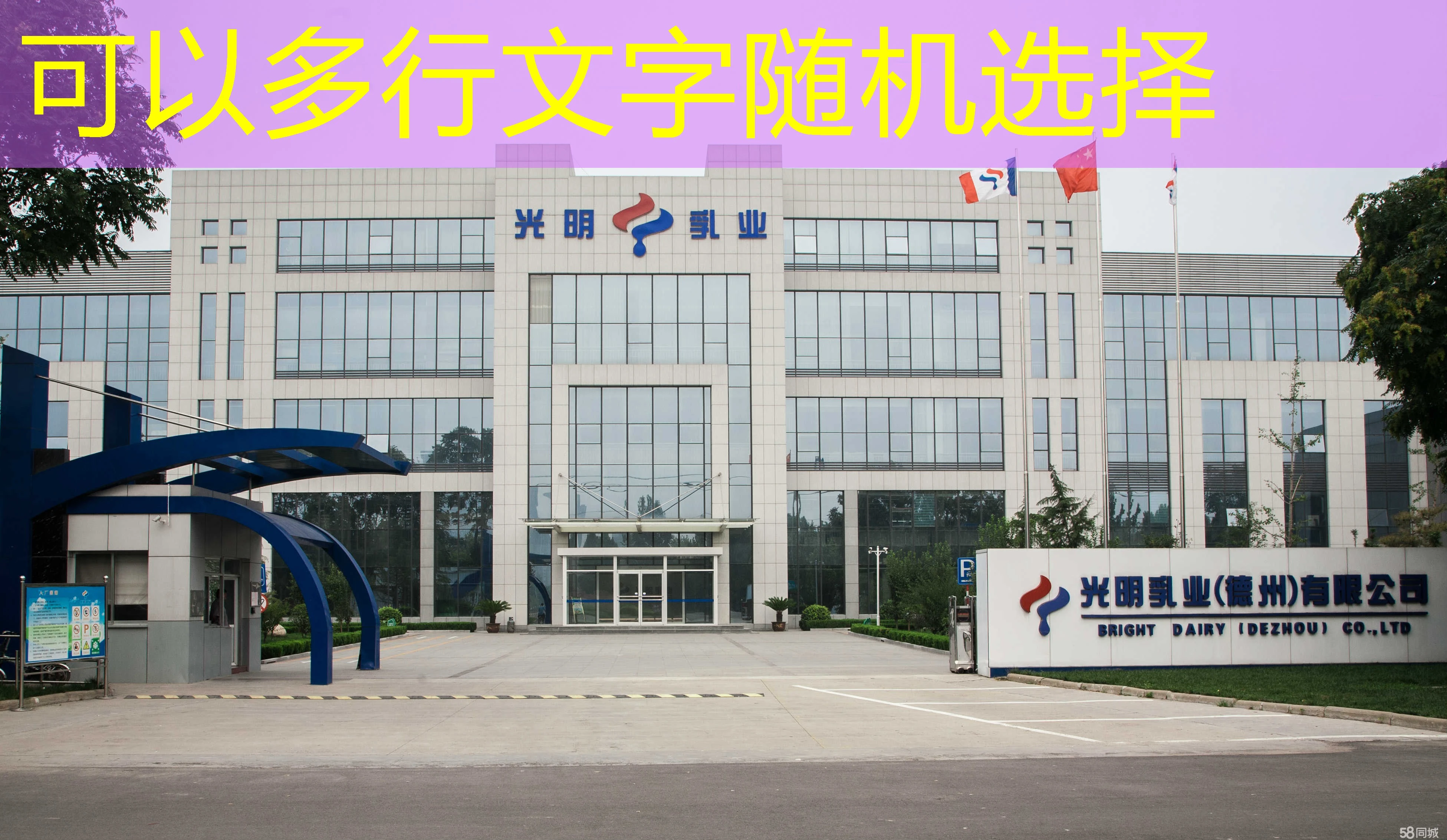 开启运动新体验：**蓝图体育手机版下载**全攻略